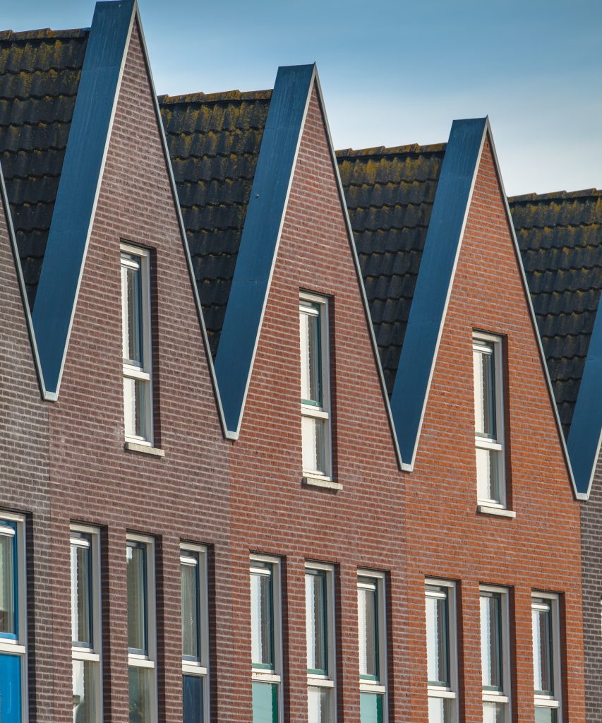 Family Houses Concept